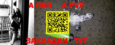 прущие грибы Гусиноозёрск